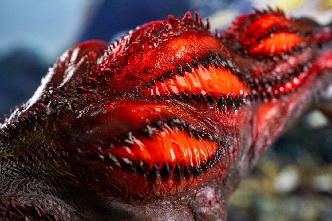 Monster Hunter Savage Deviljho