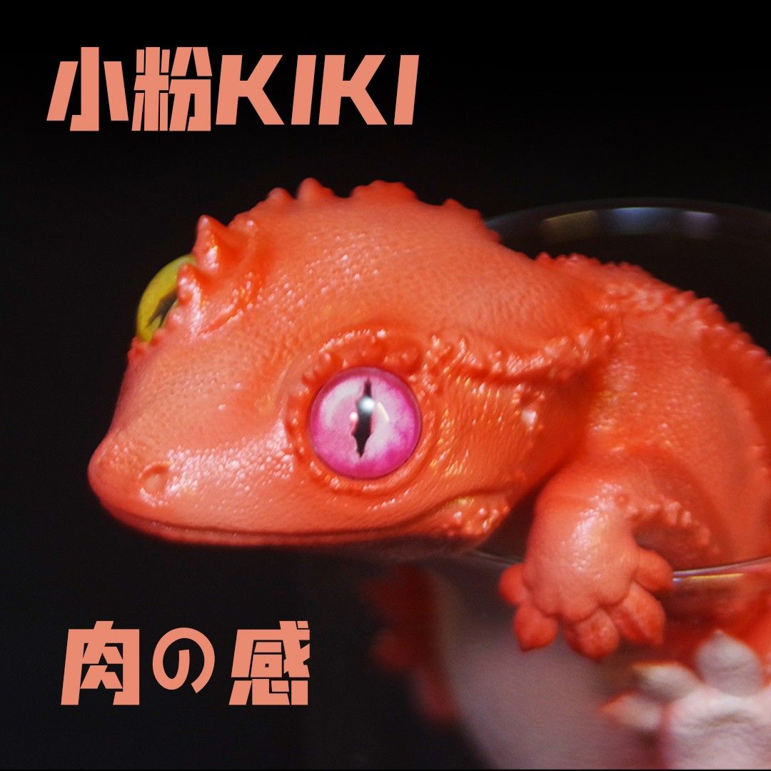 Pretty little lizard