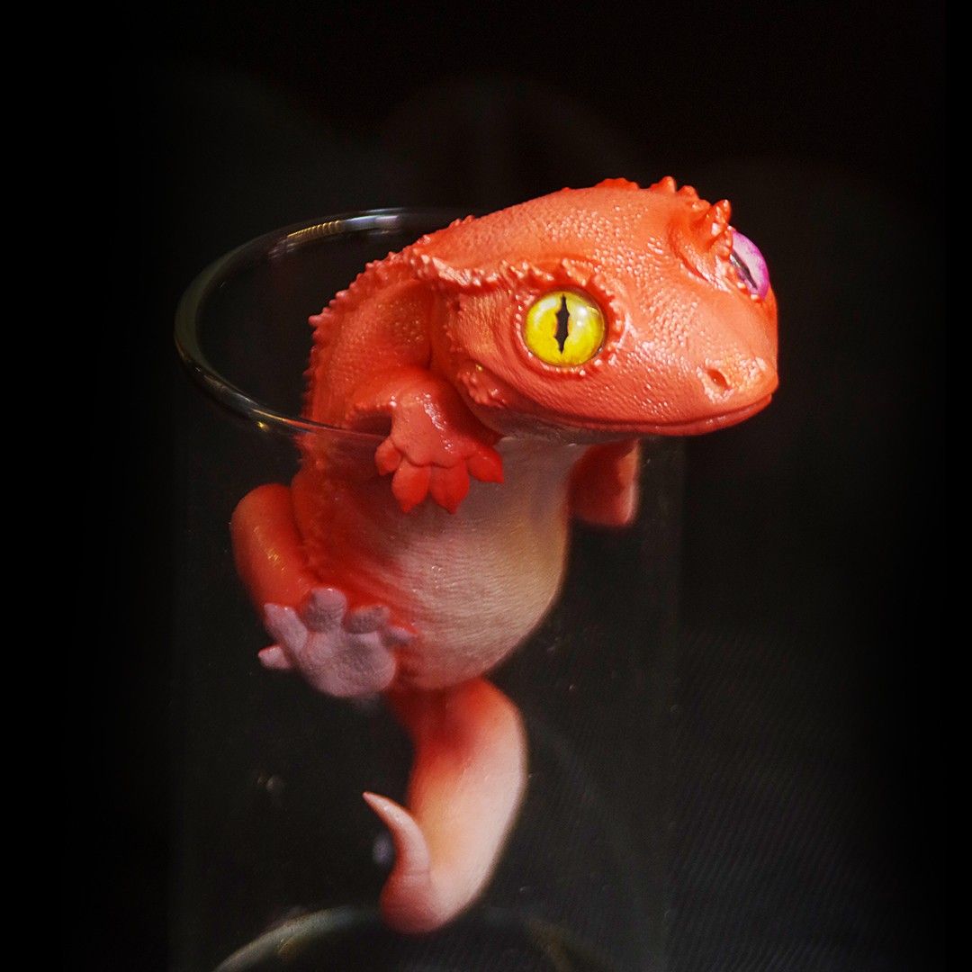 Pretty little lizard