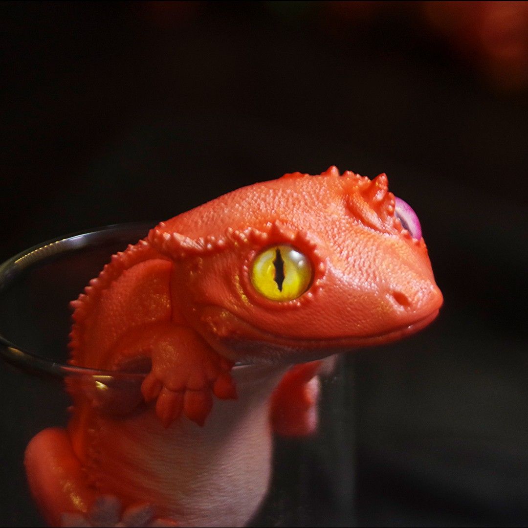 Pretty little lizard