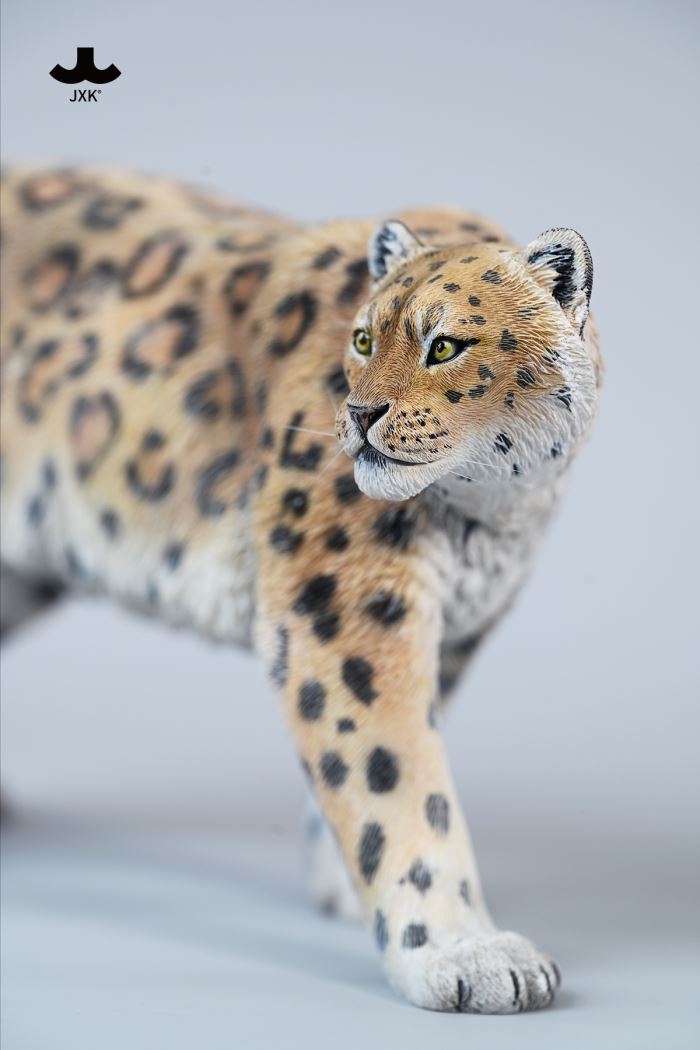 Snow leopard 1/6