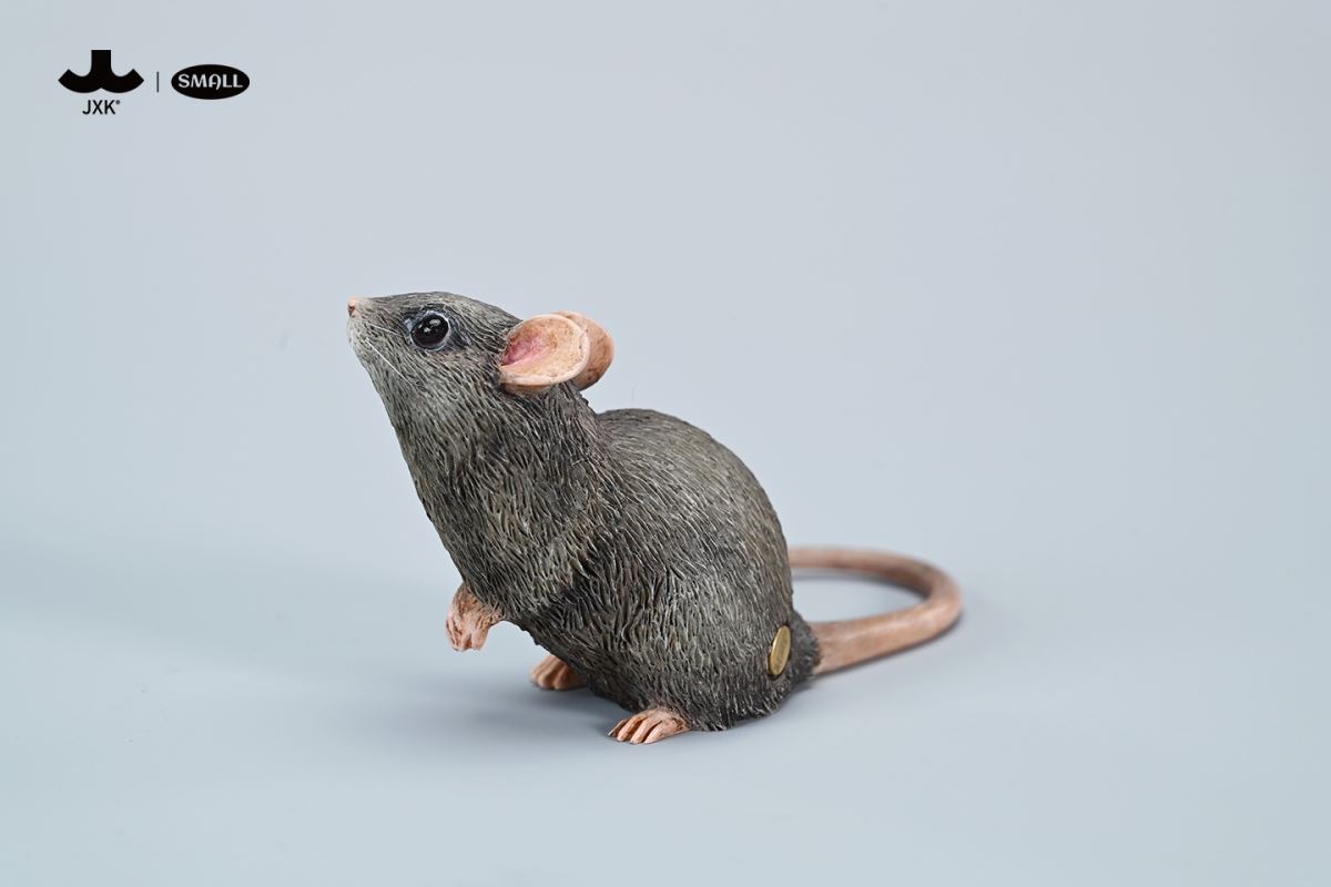 Little mouse 1/1