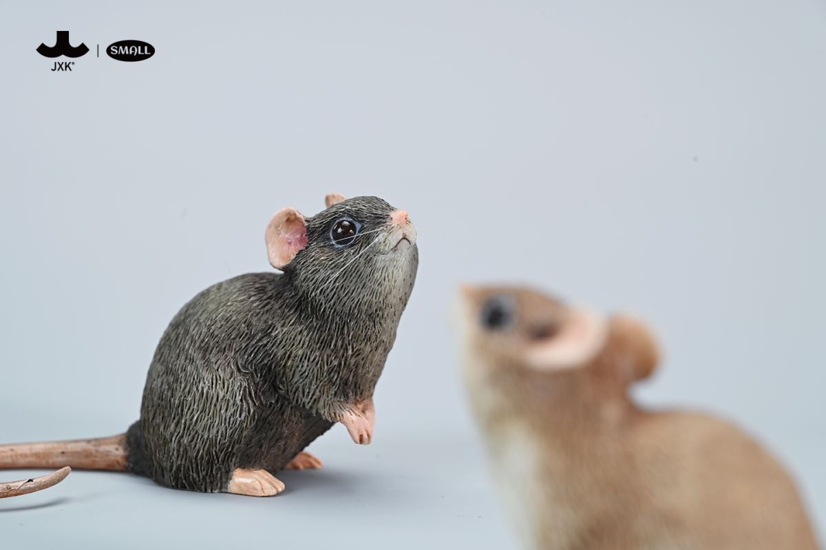 Little mouse 1/1