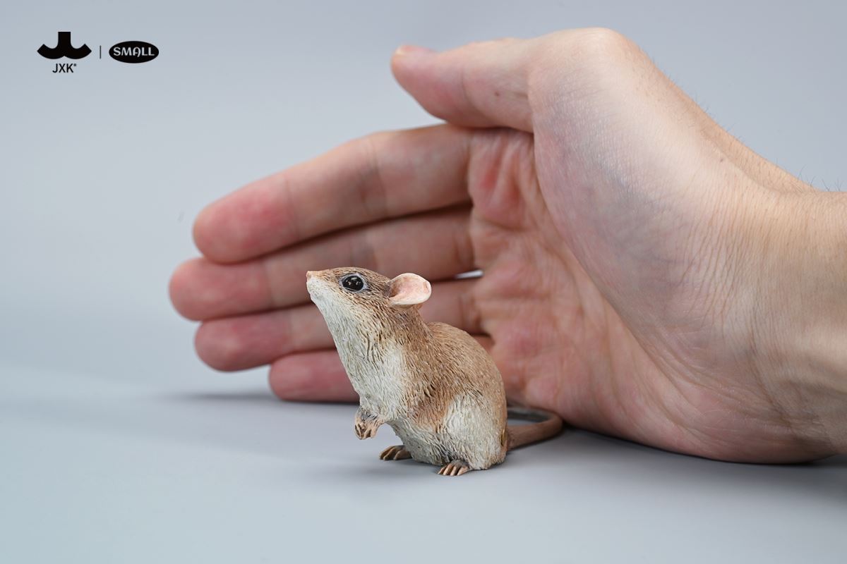 Little mouse 1/1