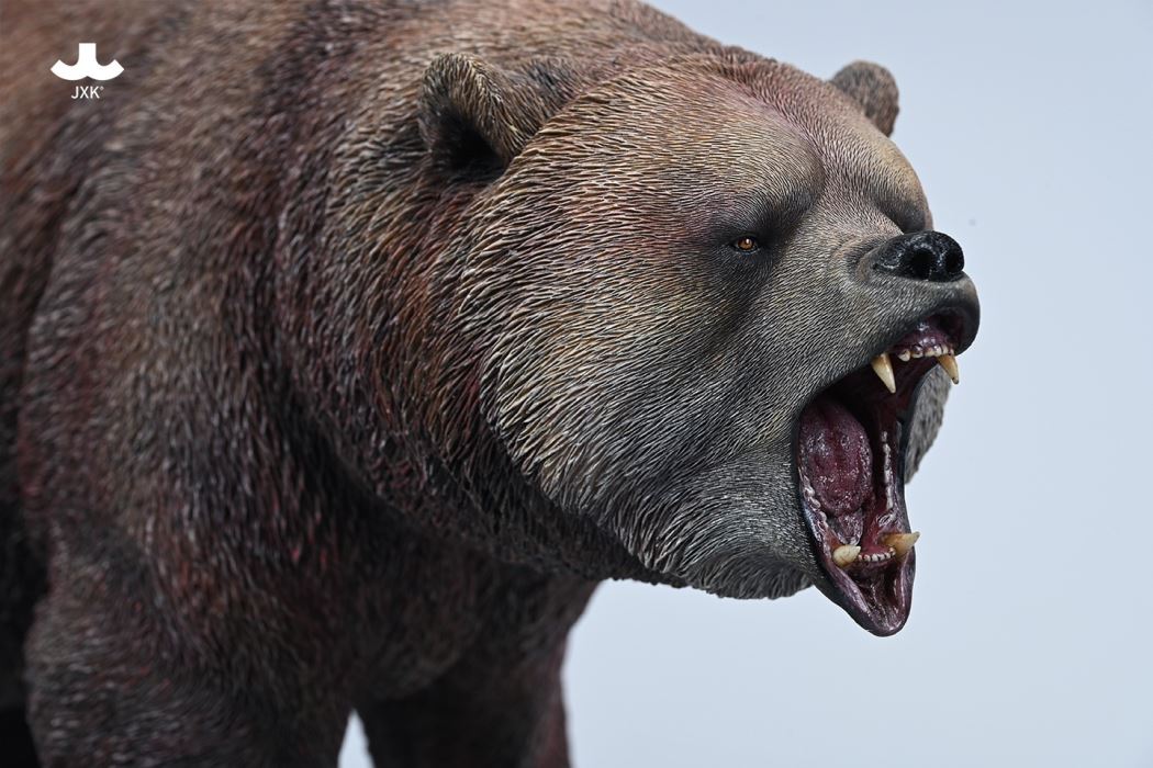 Brown bear 2.0 (JXK227)