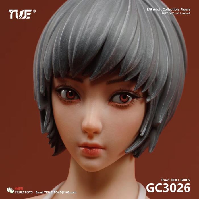 Jointed Female Doll Basic Set 1/6