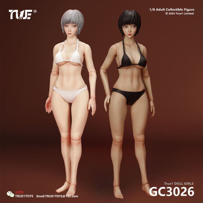Jointed Female Doll Basic Set 1/6