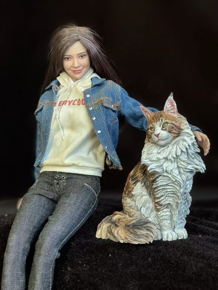 Maine Coon cat 1/6