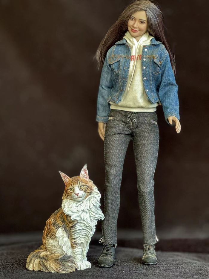 Maine Coon cat 1/6