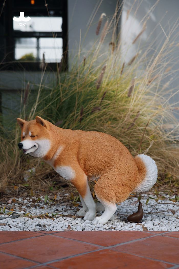 Half Squatting Shiba Inu 1/1