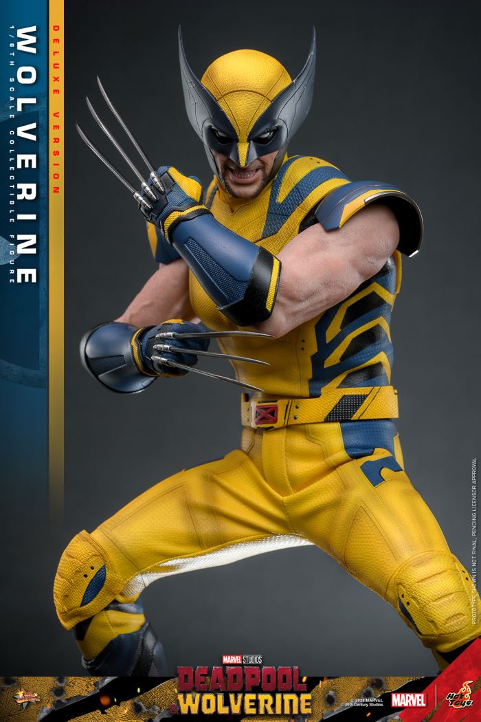 Wolverine 1/6