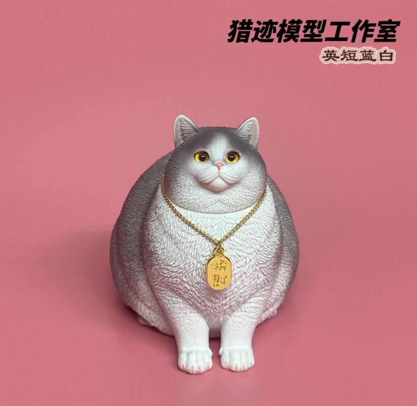 British Shorthair Blue Cat