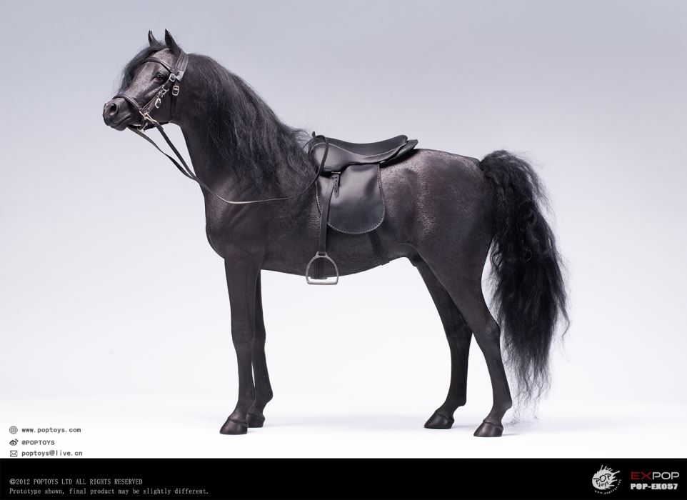 Mounted Police woman