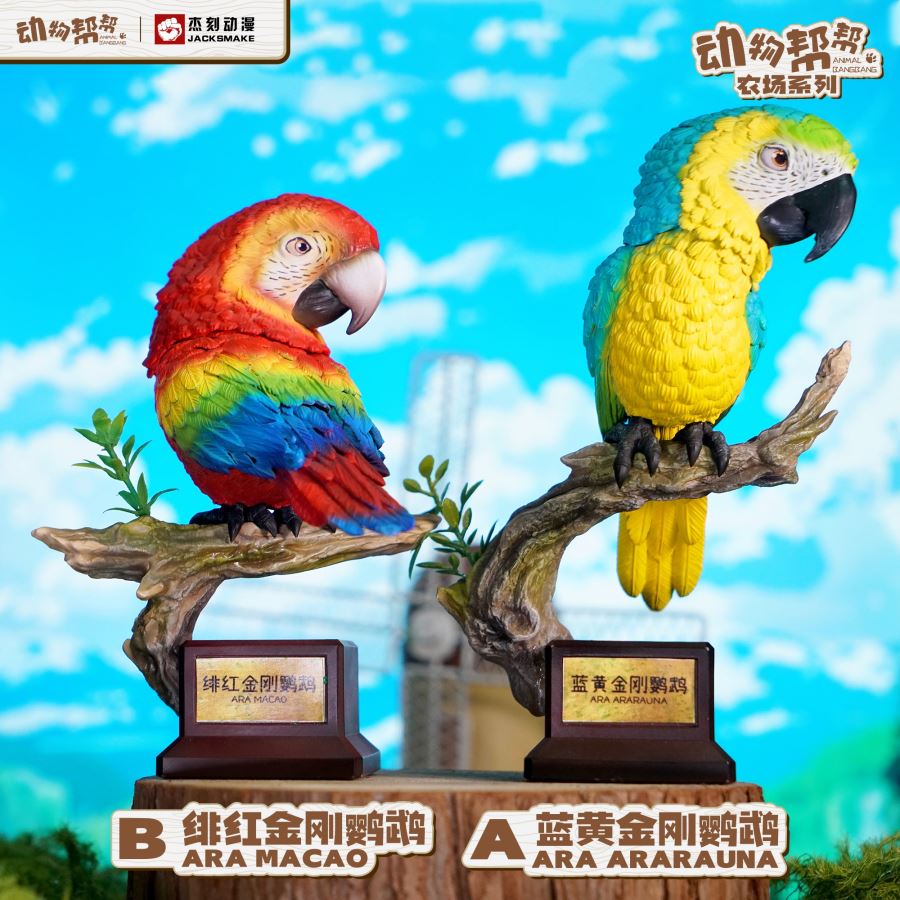 Bird Series Macaw