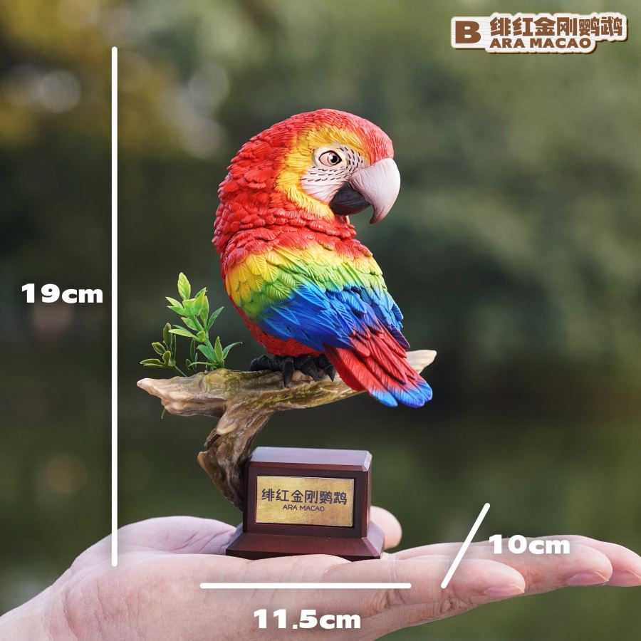 Bird Series Macaw