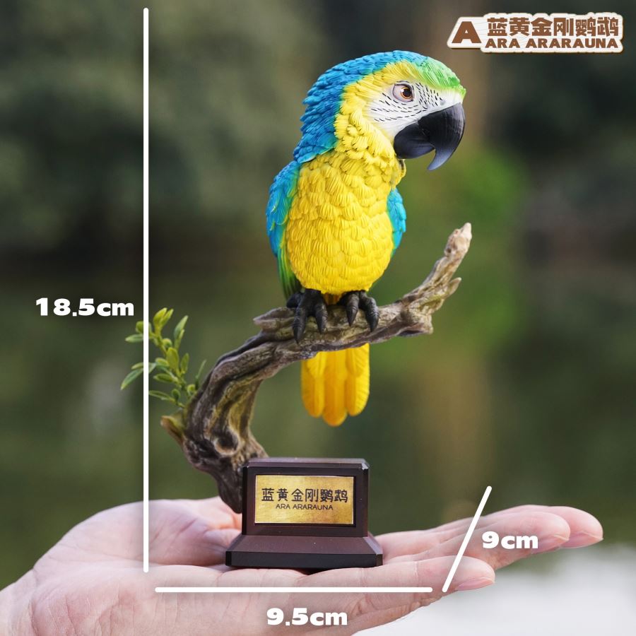 Bird Series Macaw