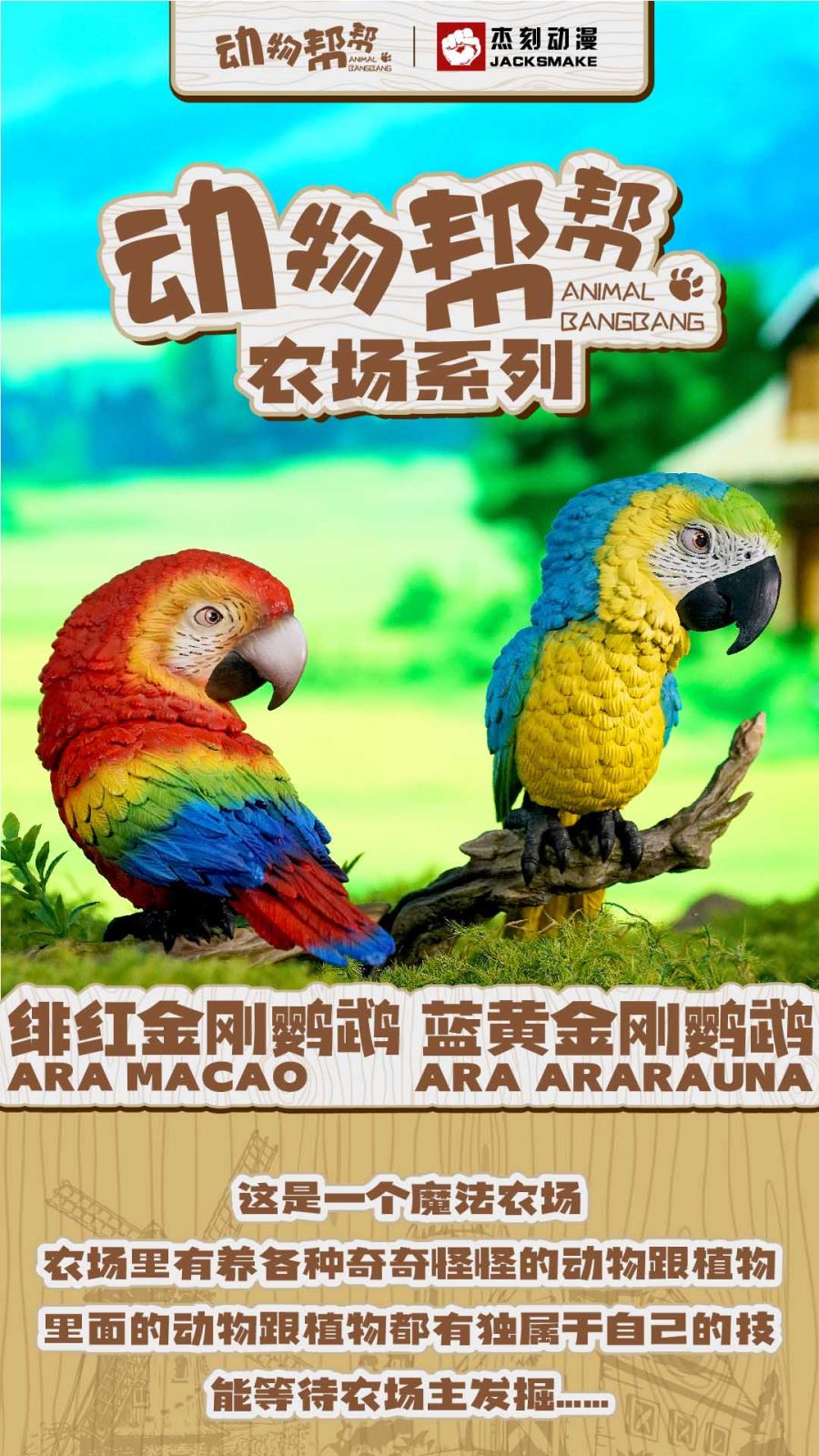 Bird Series Macaw