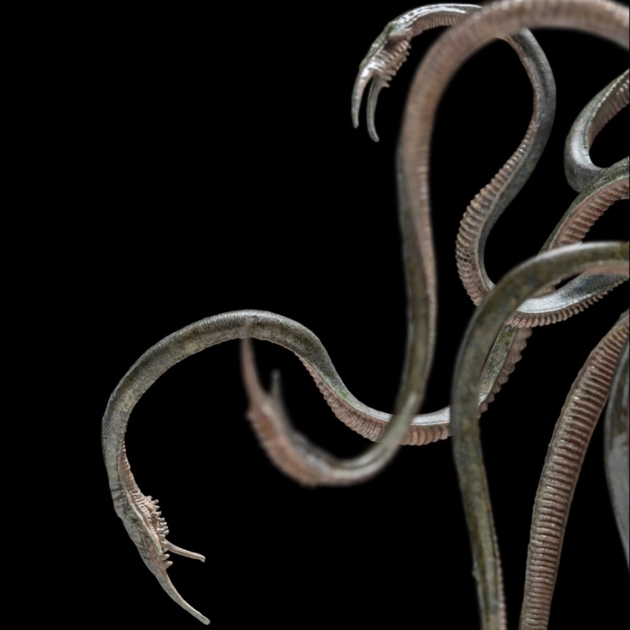 The Lord of the Rings - Watcher in the Water