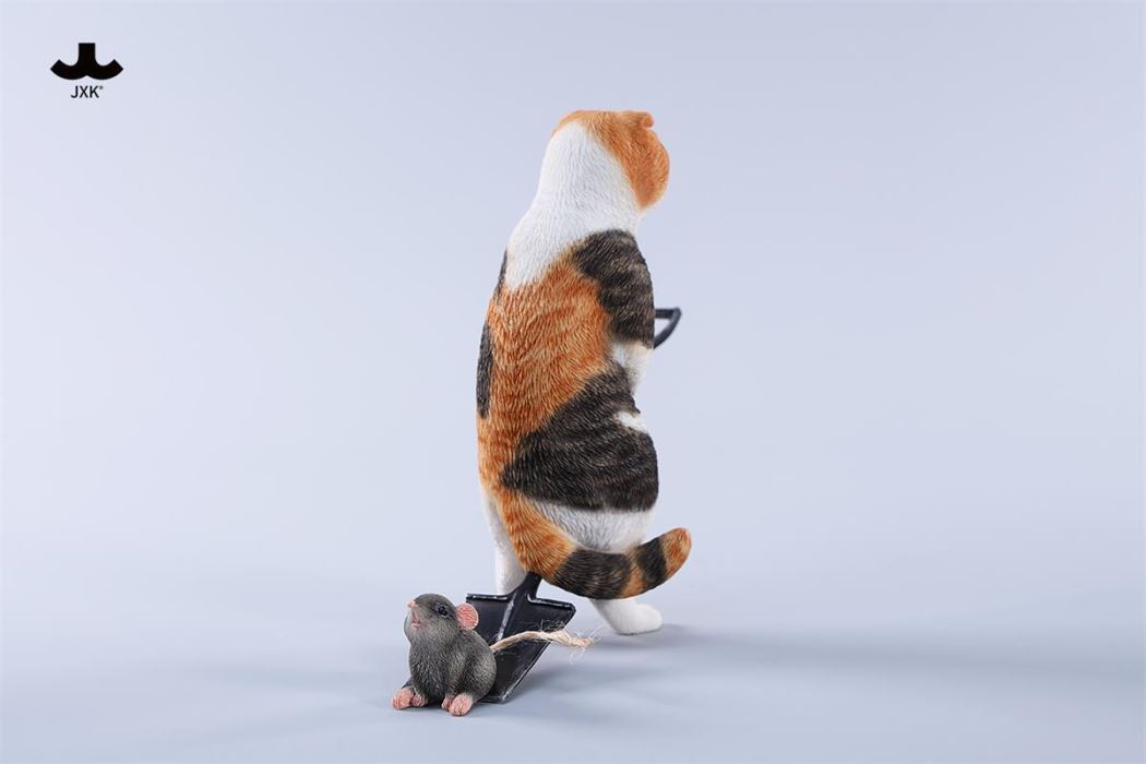 Folded Eared Cat 1/6