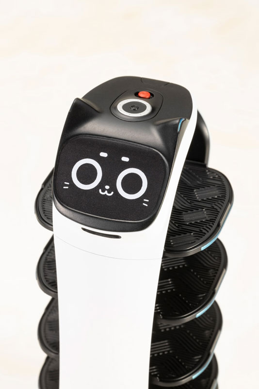 BellaBot Plastic Model