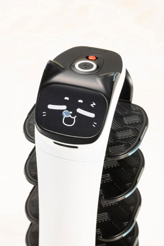 BellaBot Plastic Model