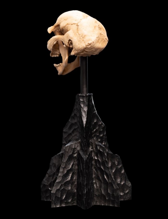 SKULL OF A MORIA ORC Miniature Skull