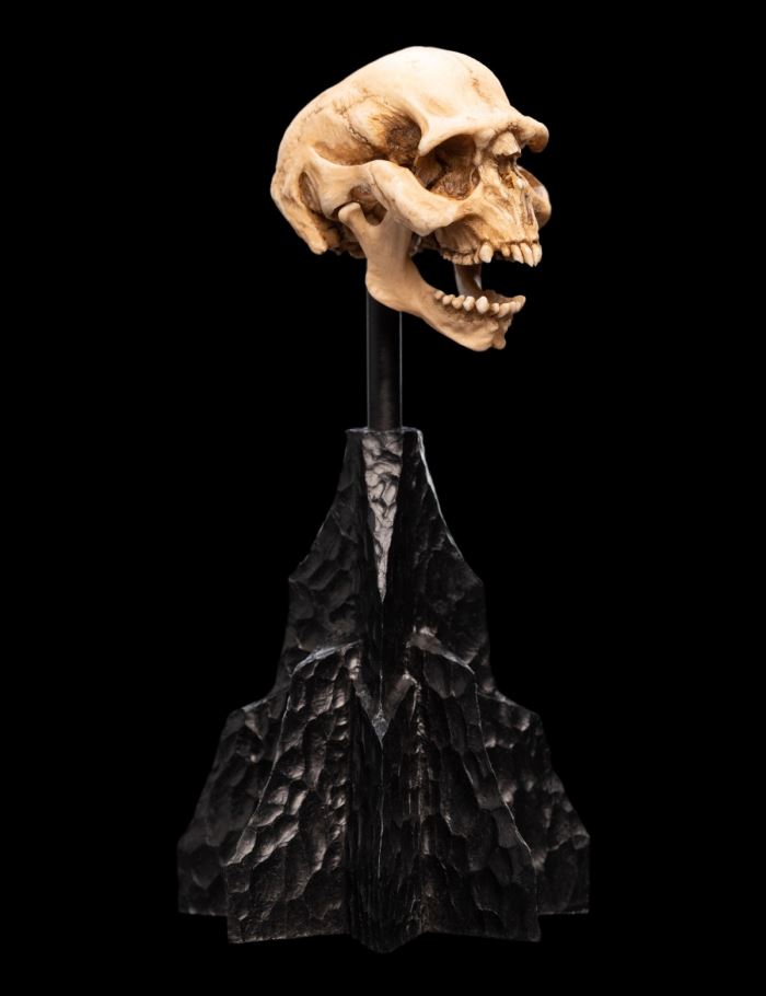 SKULL OF A MORIA ORC Miniature Skull