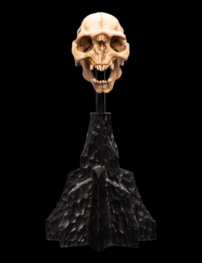 SKULL OF A MORIA ORC Miniature Skull