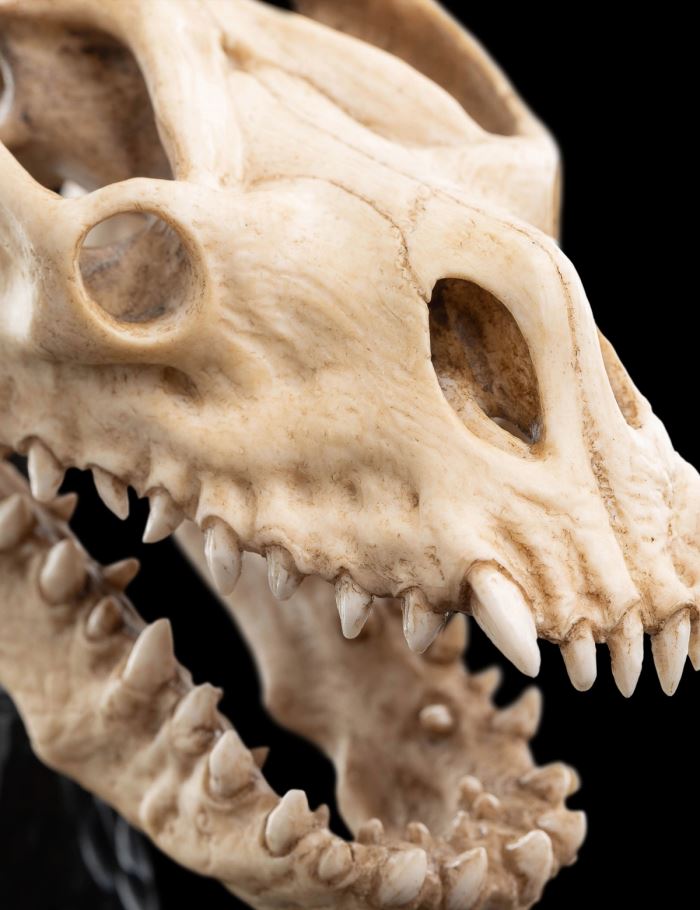 SKULL OF A FELL BEAST Miniature Skull