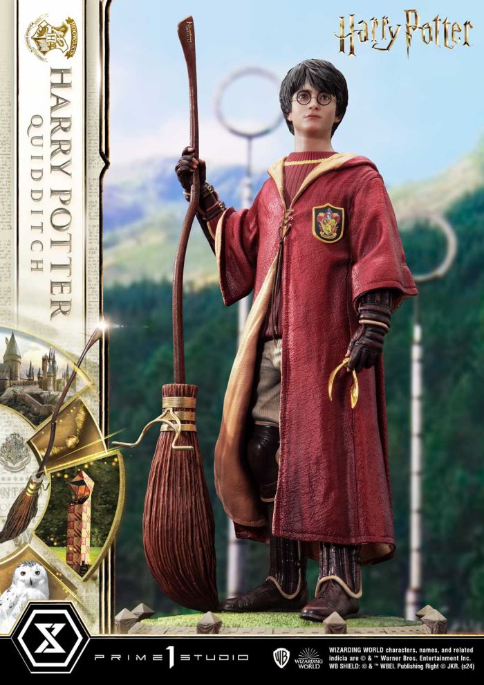 Harry Potter Quidditch