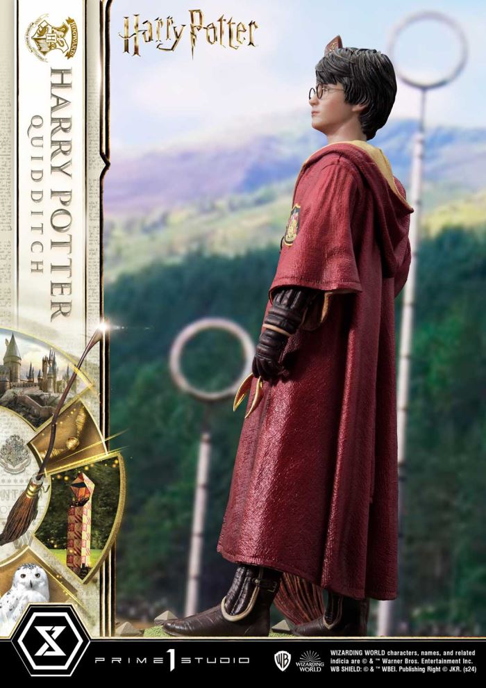 Harry Potter Quidditch