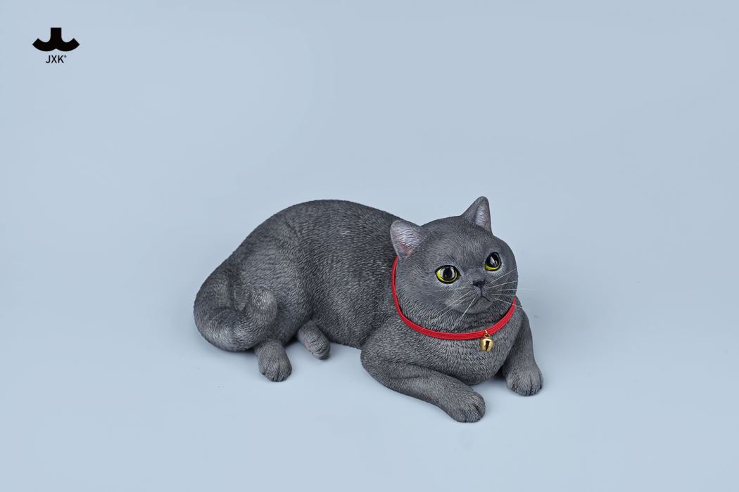 British Shorthair Cat 1/3