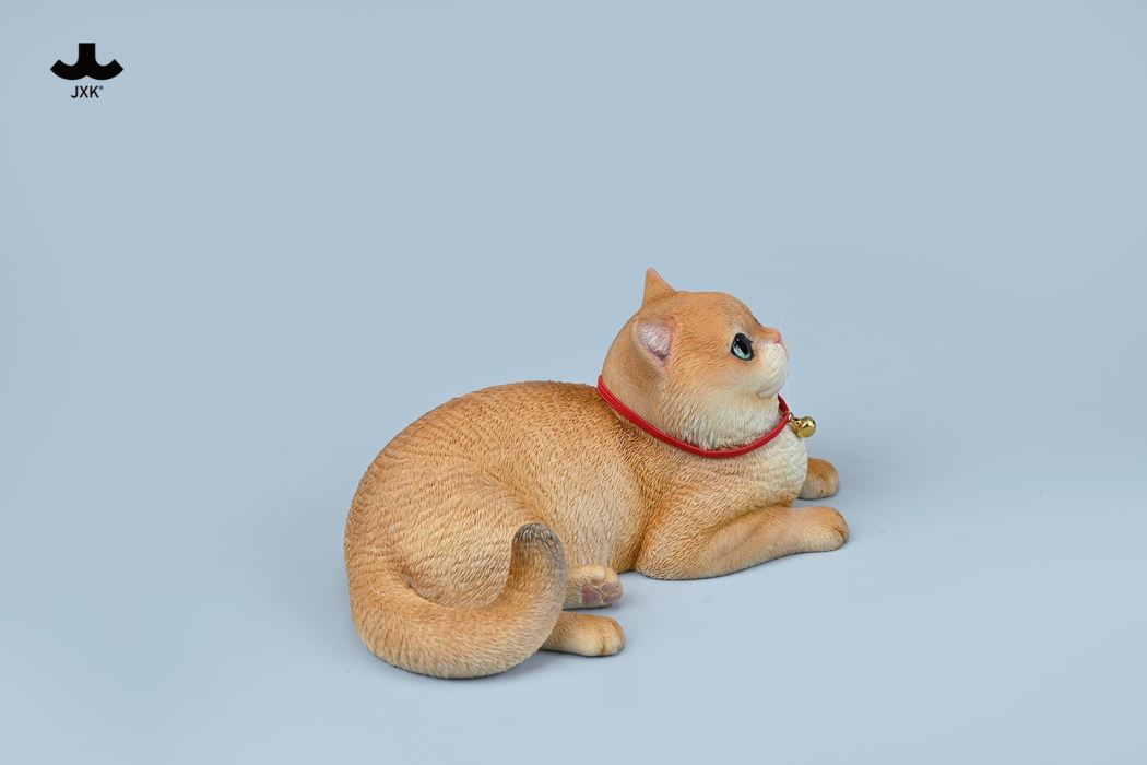 British Shorthair Cat 1/3