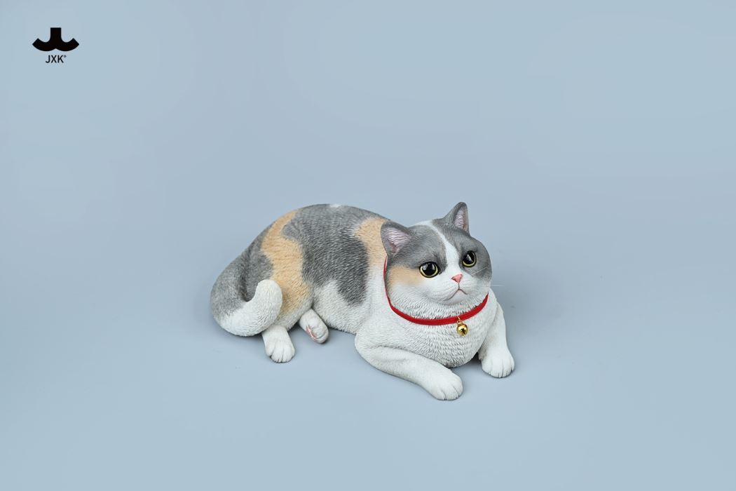 British Shorthair Cat 1/3