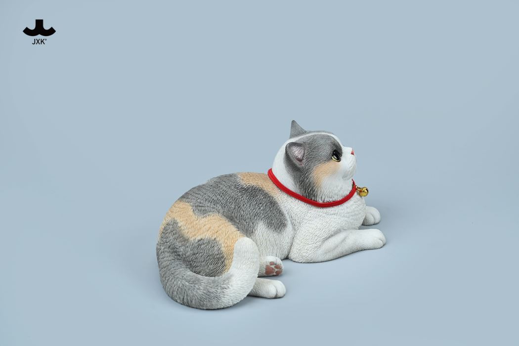 British Shorthair Cat 1/3