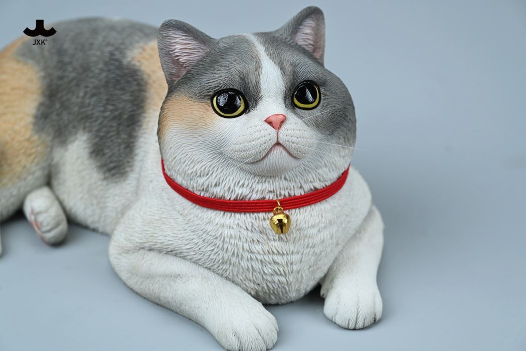British Shorthair Cat 1/3