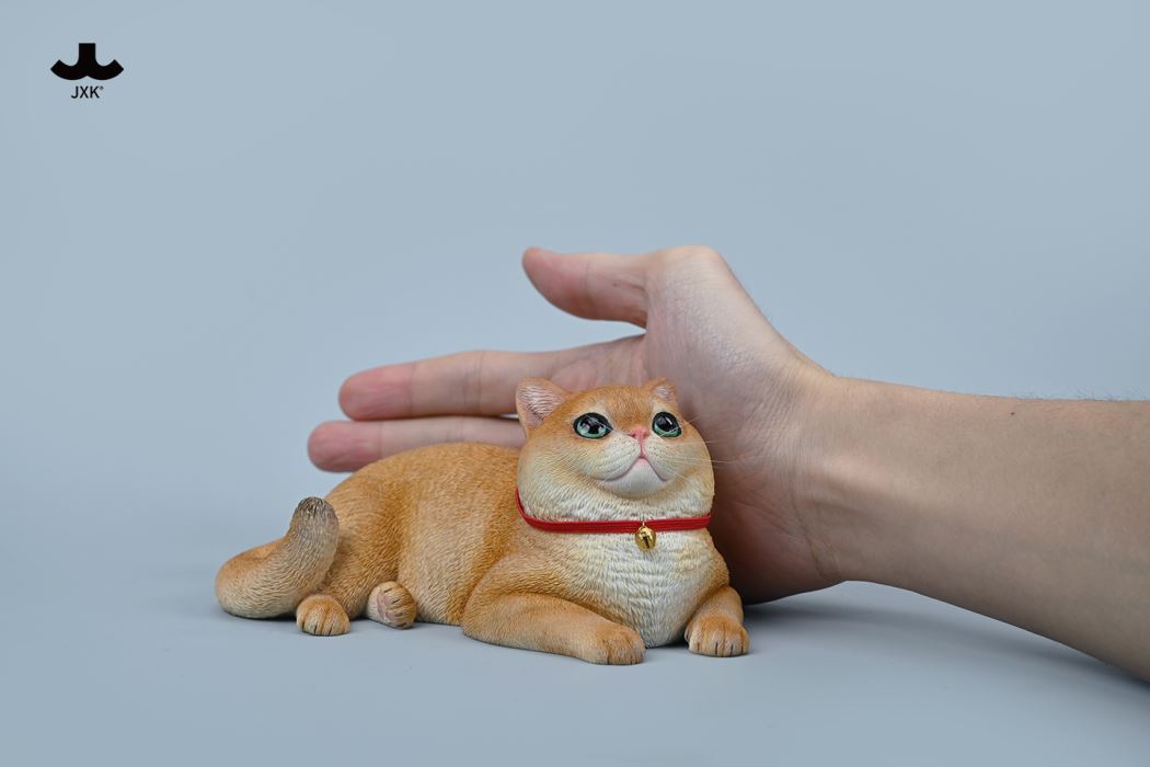 British Shorthair Cat 1/3