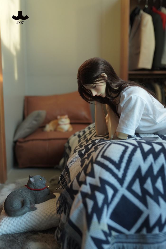 British Shorthair Cat 1/3