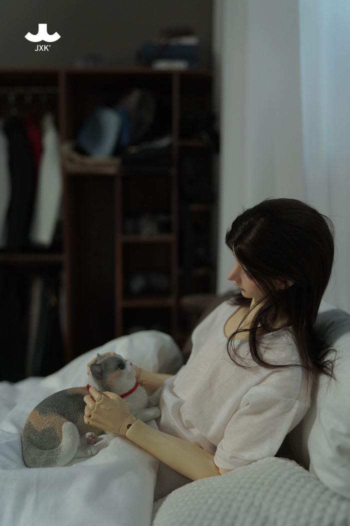 British Shorthair Cat 1/3