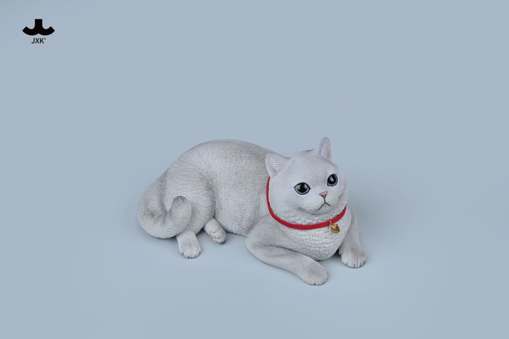 British Shorthair Cat 1/3