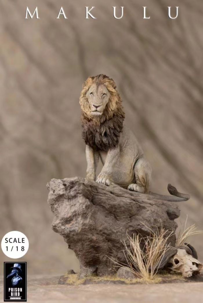 Barbary lion 1/6