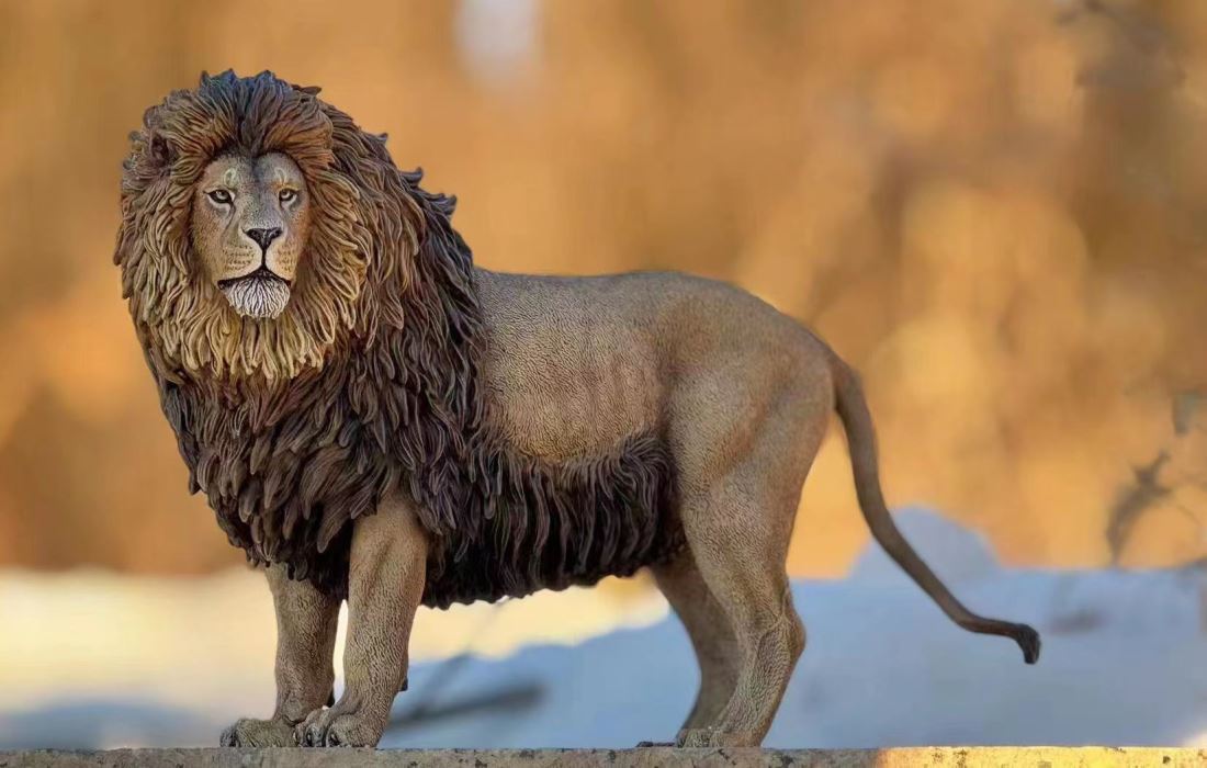 Barbary lion 1/6