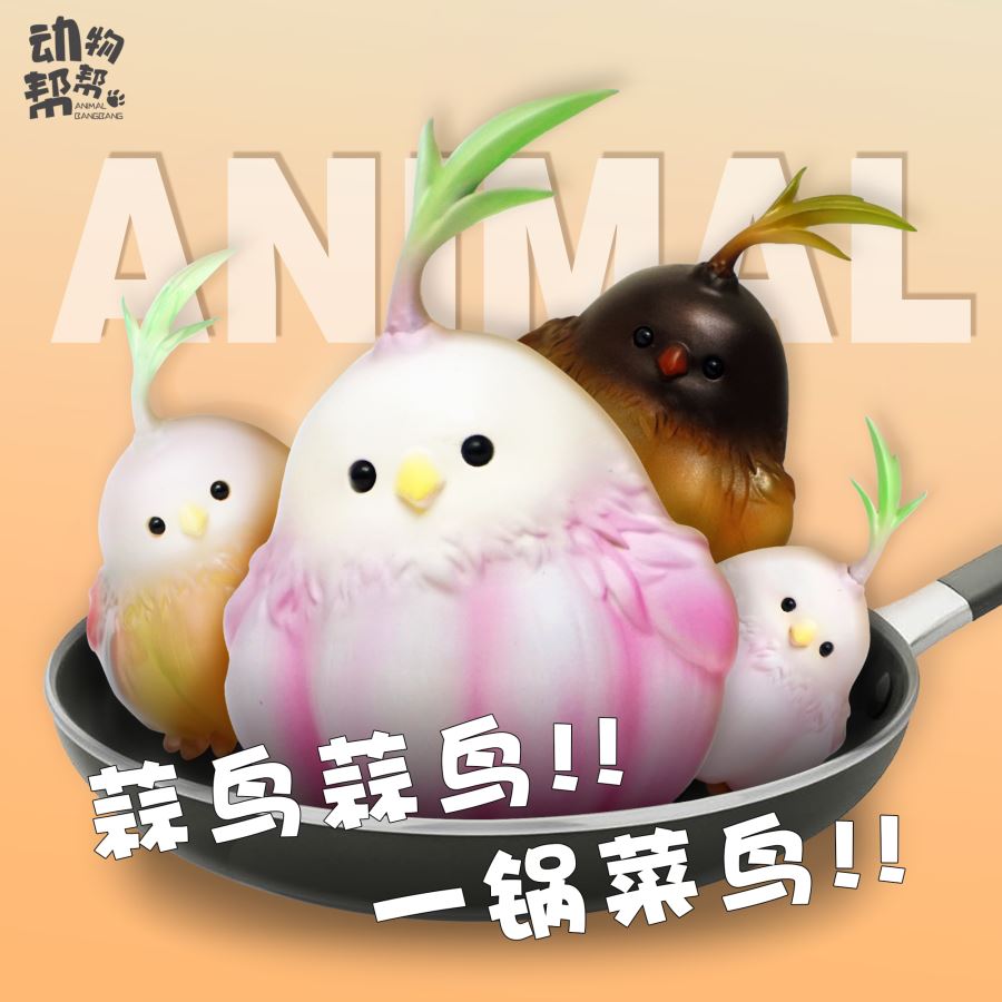 Original Farm Series Allium sativum Bird is not a big deal