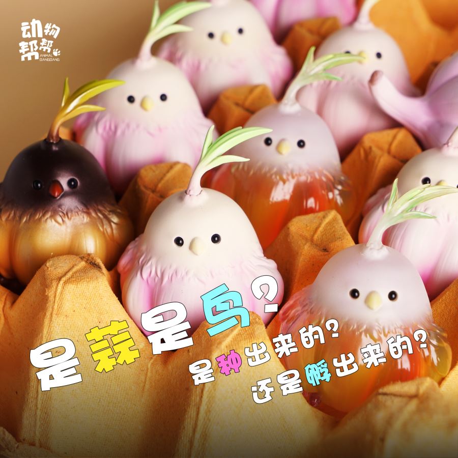 Original Farm Series Allium sativum Bird is not a big deal