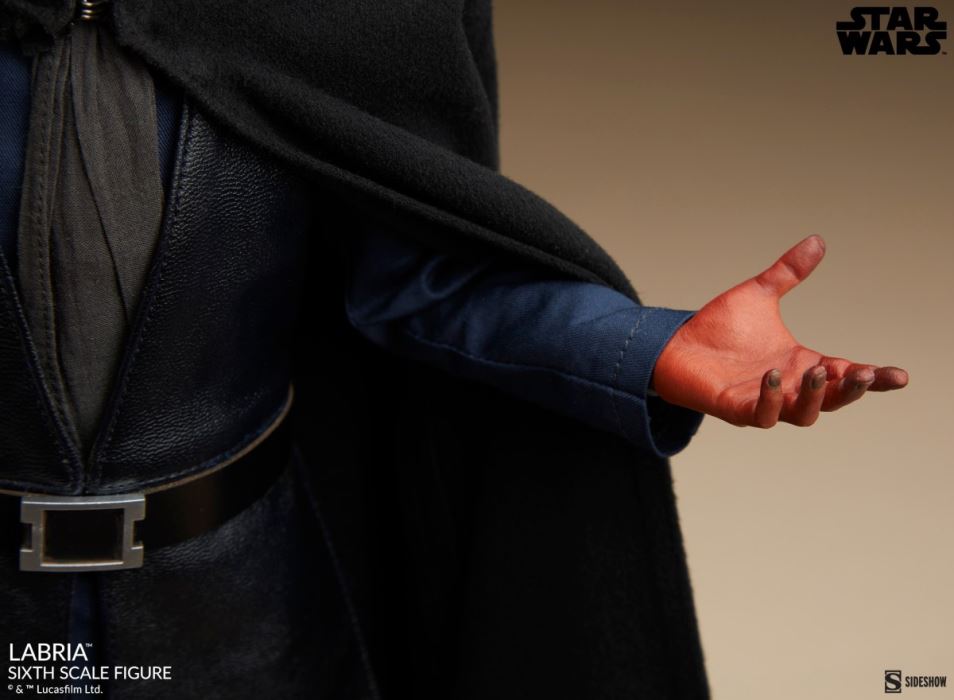 Labria - Star Wars 1/6