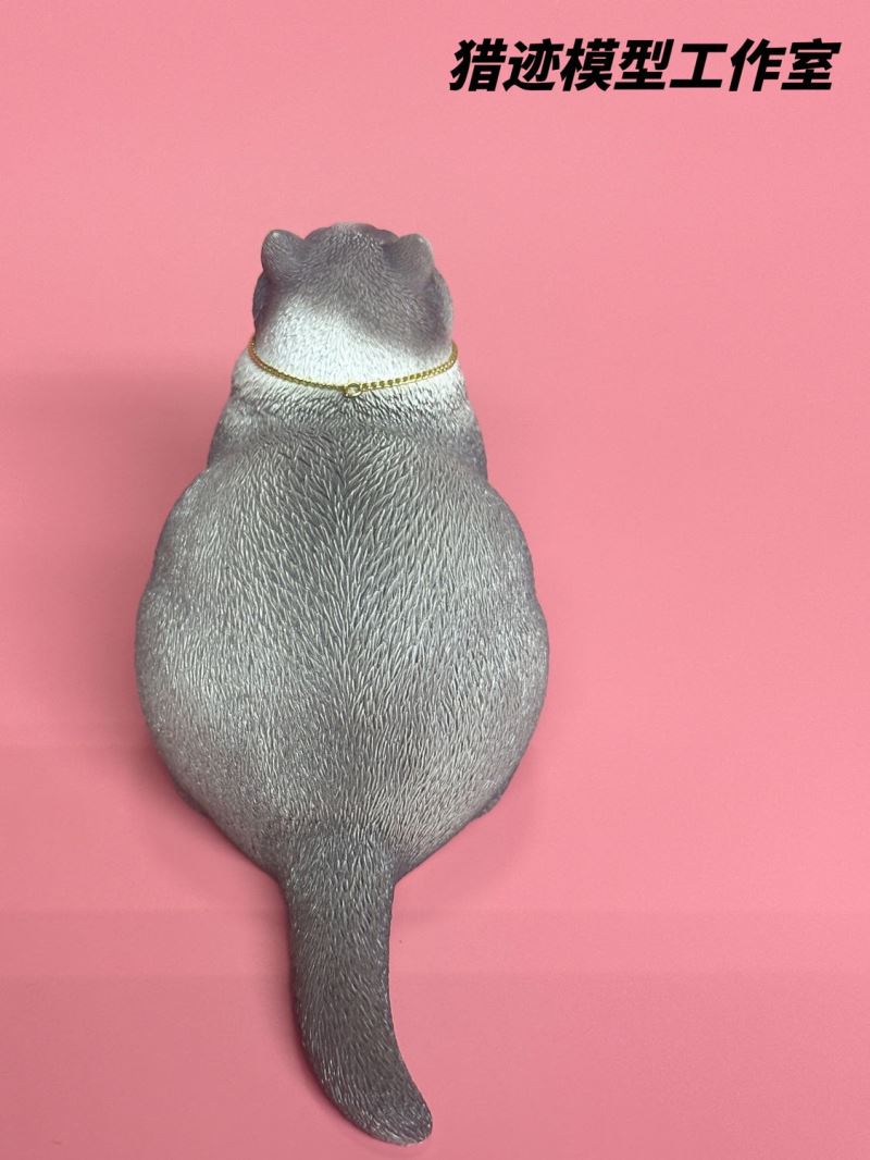 British Shorthair Blue Cat