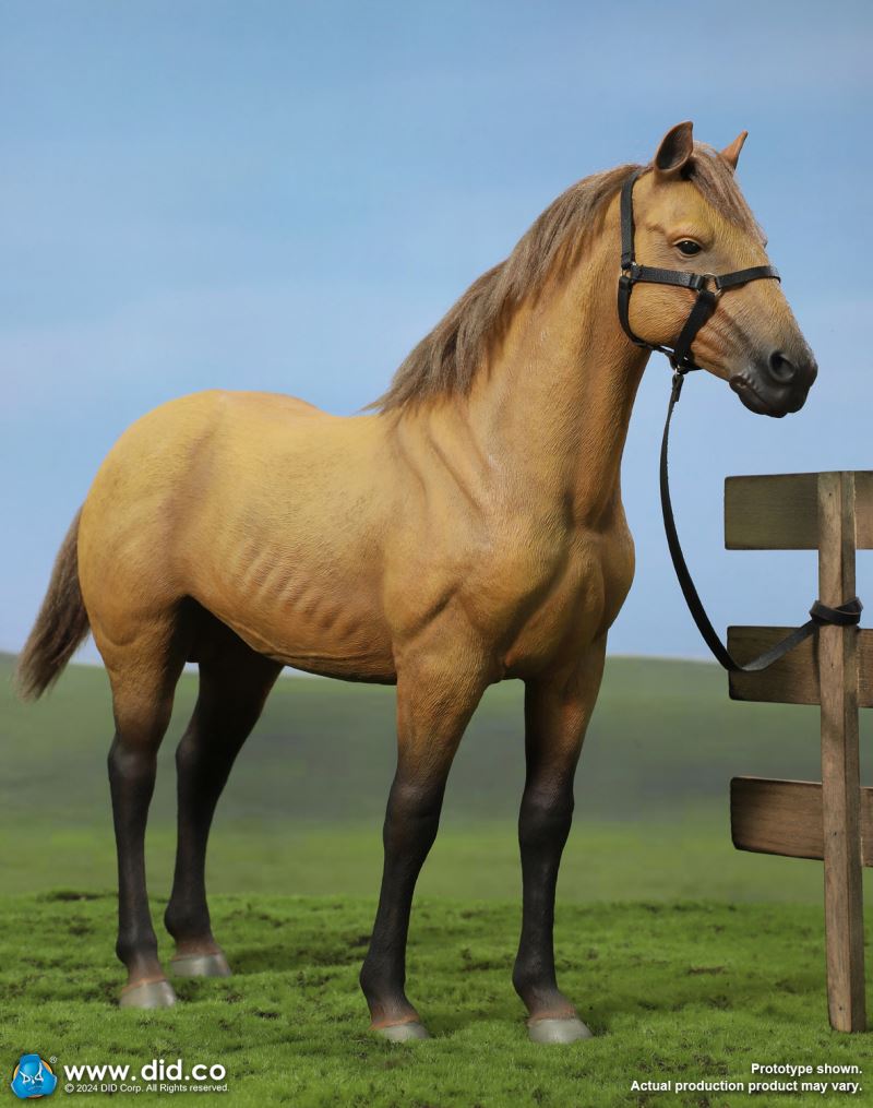 Civil War Brown Warhorse 1/6