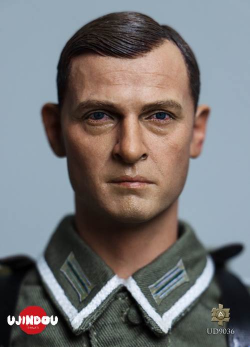 WWII German Commander in Chief Panzergrenadier Sergeant Hungary 1944-1945 1/6