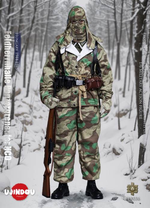 WWII German Commander in Chief Panzergrenadier Sergeant Hungary 1944-1945 1/6