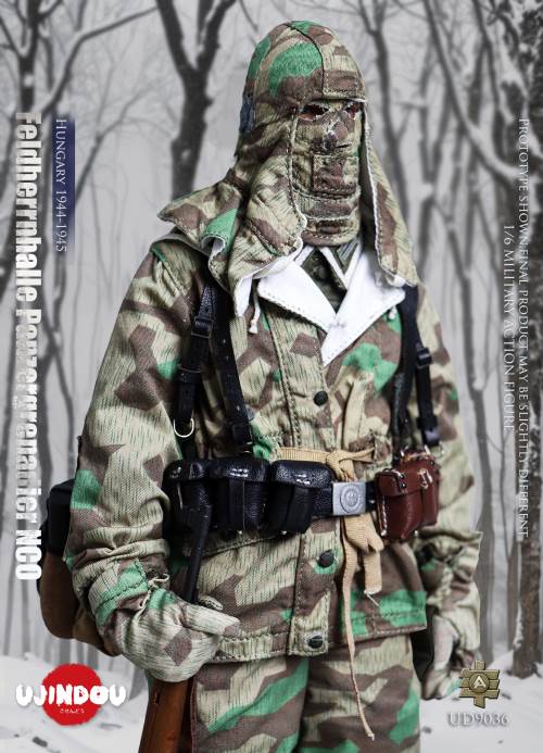 WWII German Commander in Chief Panzergrenadier Sergeant Hungary 1944-1945 1/6